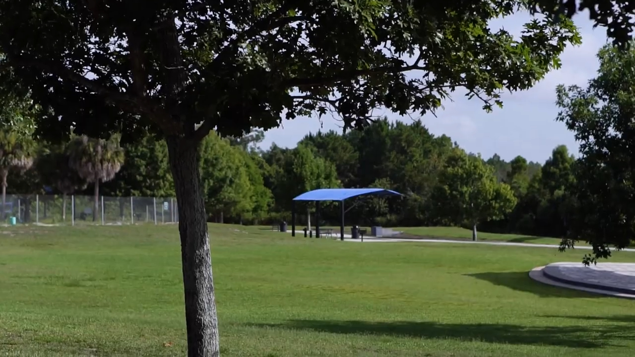 Picnicking and Relaxation - Dr. P. Phillips Community Park