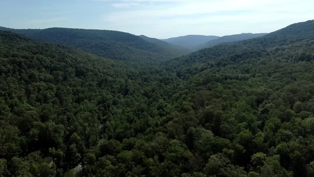 Scenic view of the Ozarks Mountains on a Florida to Missouri family trip route