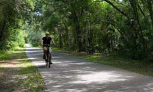Man in a bright green helmet cycling on a shaded asphalt path surrounded by dense green forest foliage