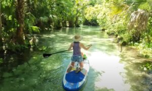 Person kneeling on a paddleboard paddling down a clear, sun-dappled river surrounded by dense green foliage